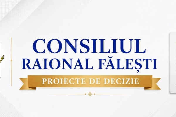 Proiecte de decizie