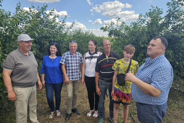 Monitorizarea campaniei de recoltare a vișinelor în raionul Fălești 