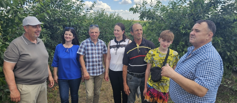 Monitorizarea campaniei de recoltare a vișinelor în raionul Fălești 