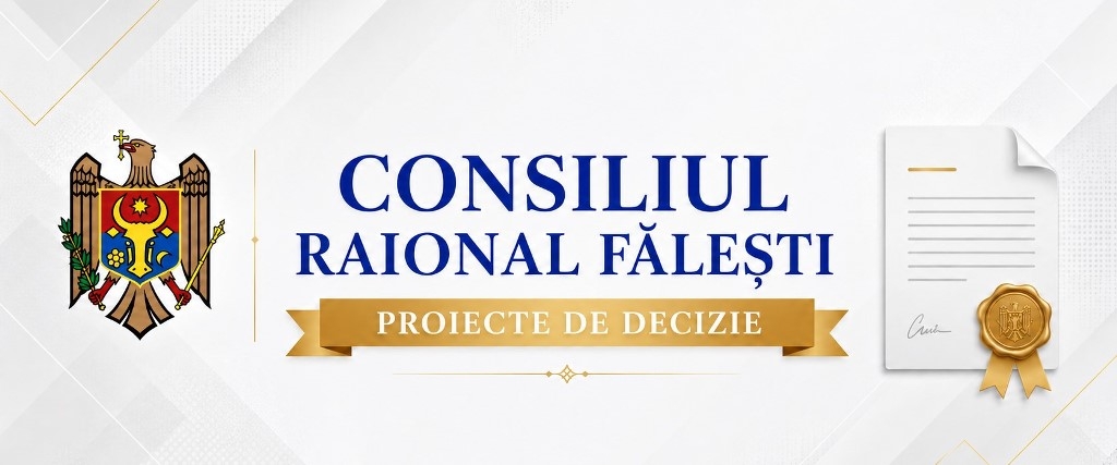 Proiecte de decizie